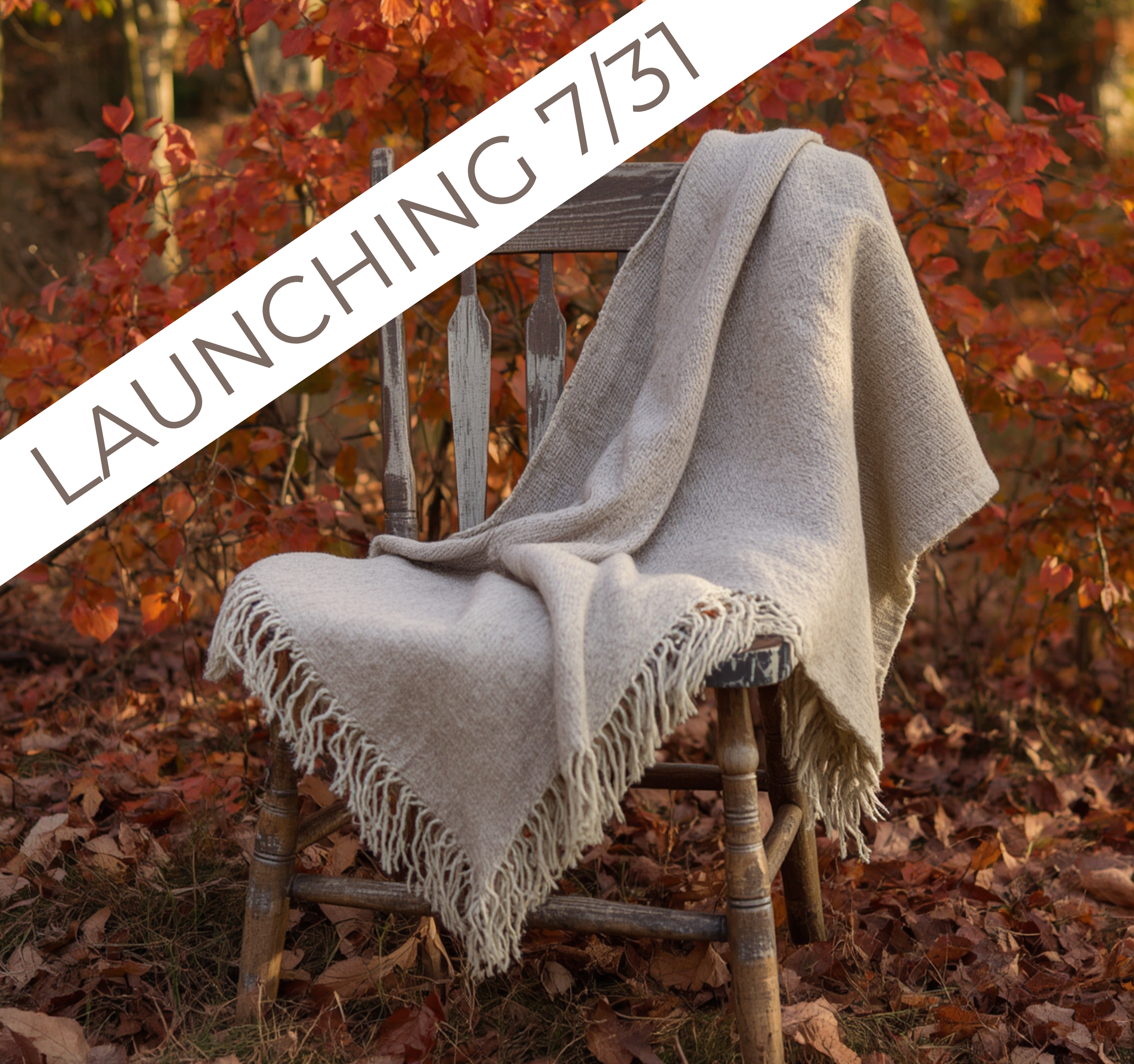 Fall Cashmere